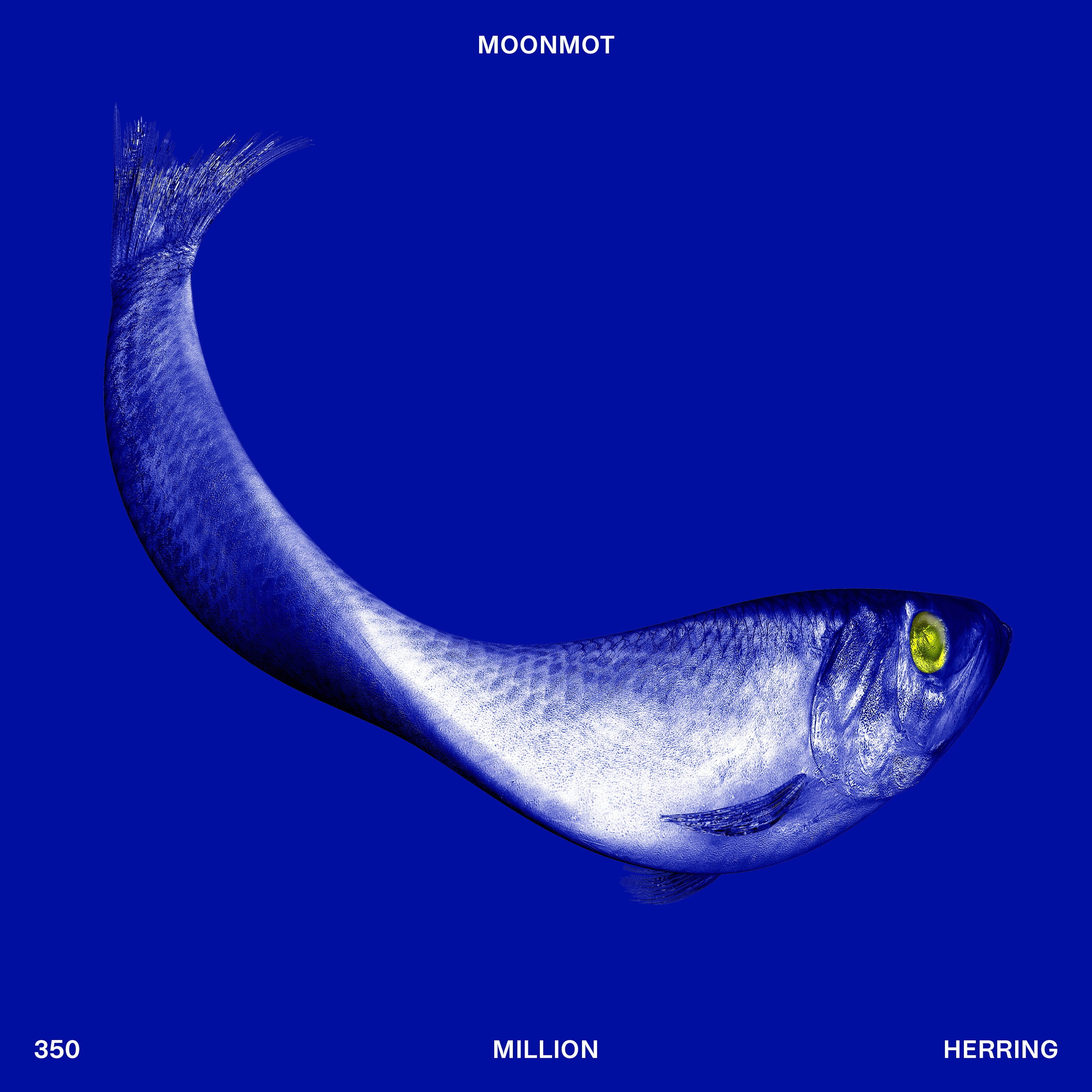 Moonmot - 350 Million Herring (CD)