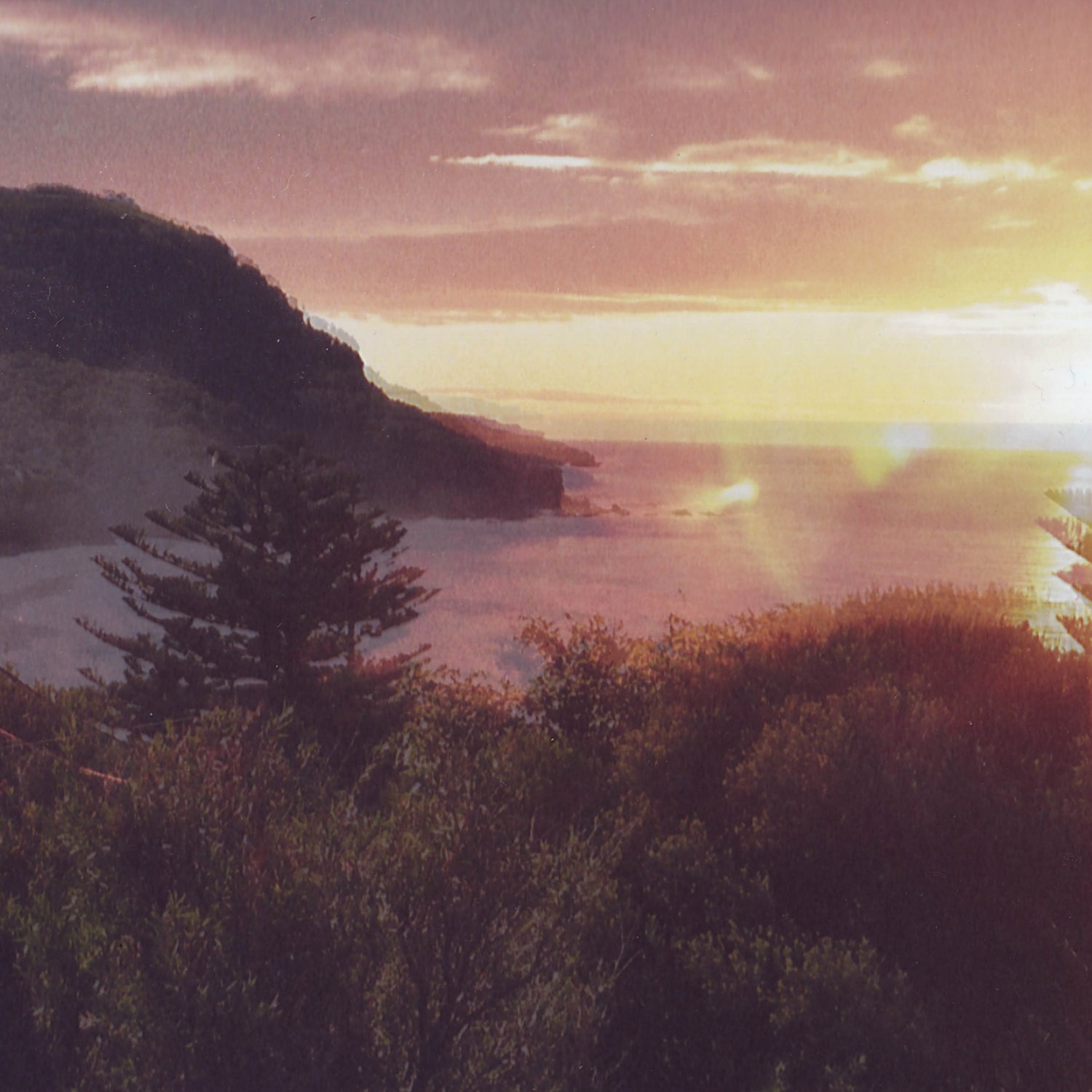 Ocean Party - Beauty Point (LP)