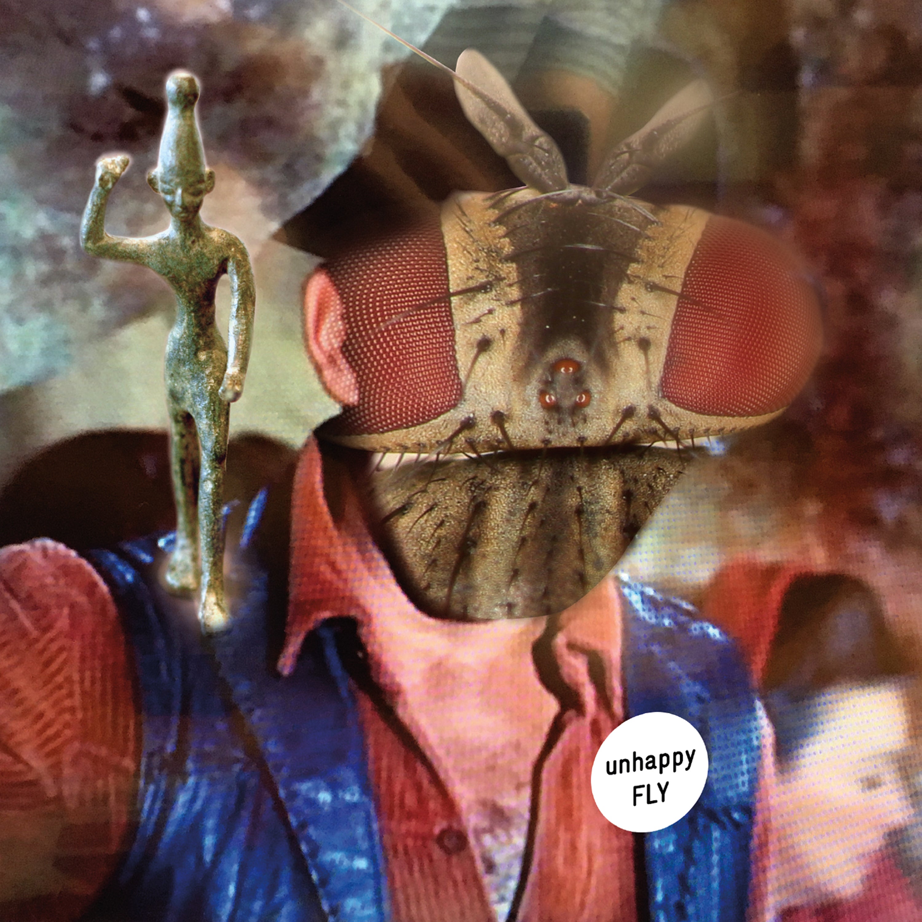 Unhappy Fly - Unhappy Fly (LP)