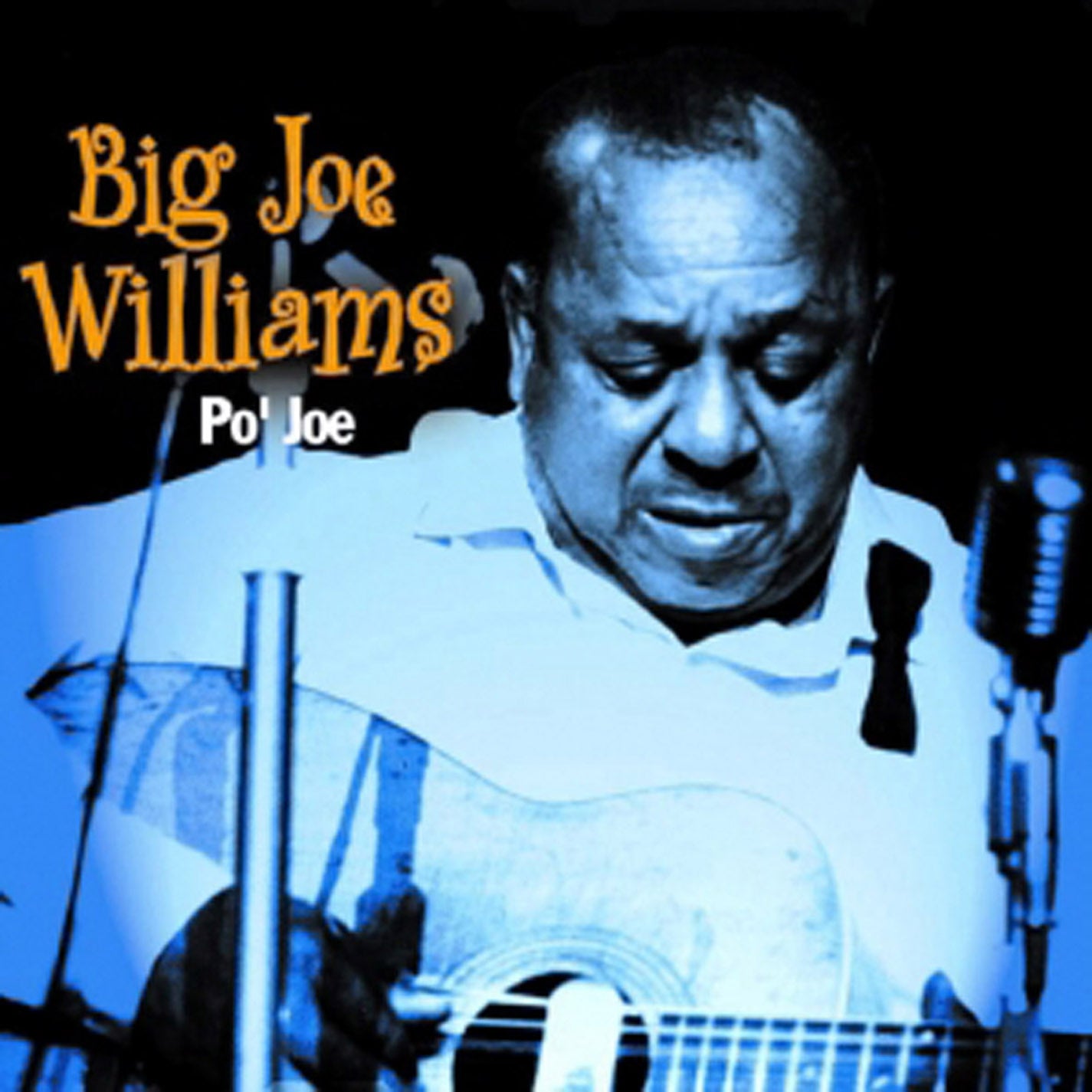 Big Joe Williams - Po' Joe (CD)