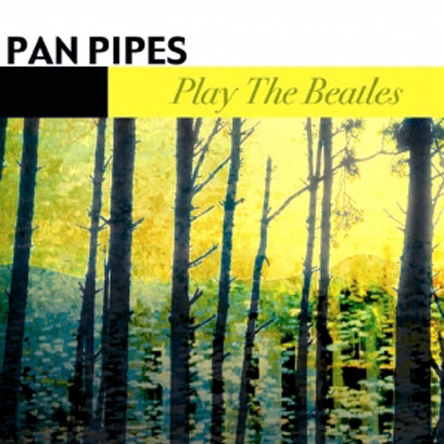Pan Pipes - Play The Beatles (CD)
