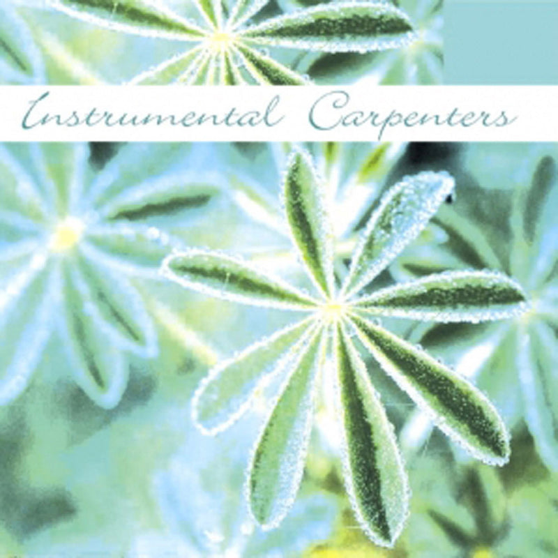 Instrumental The Instrumental Carpenters - Instrumental Carpenters (CD)