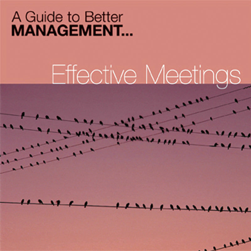Effective Meetings (CD)