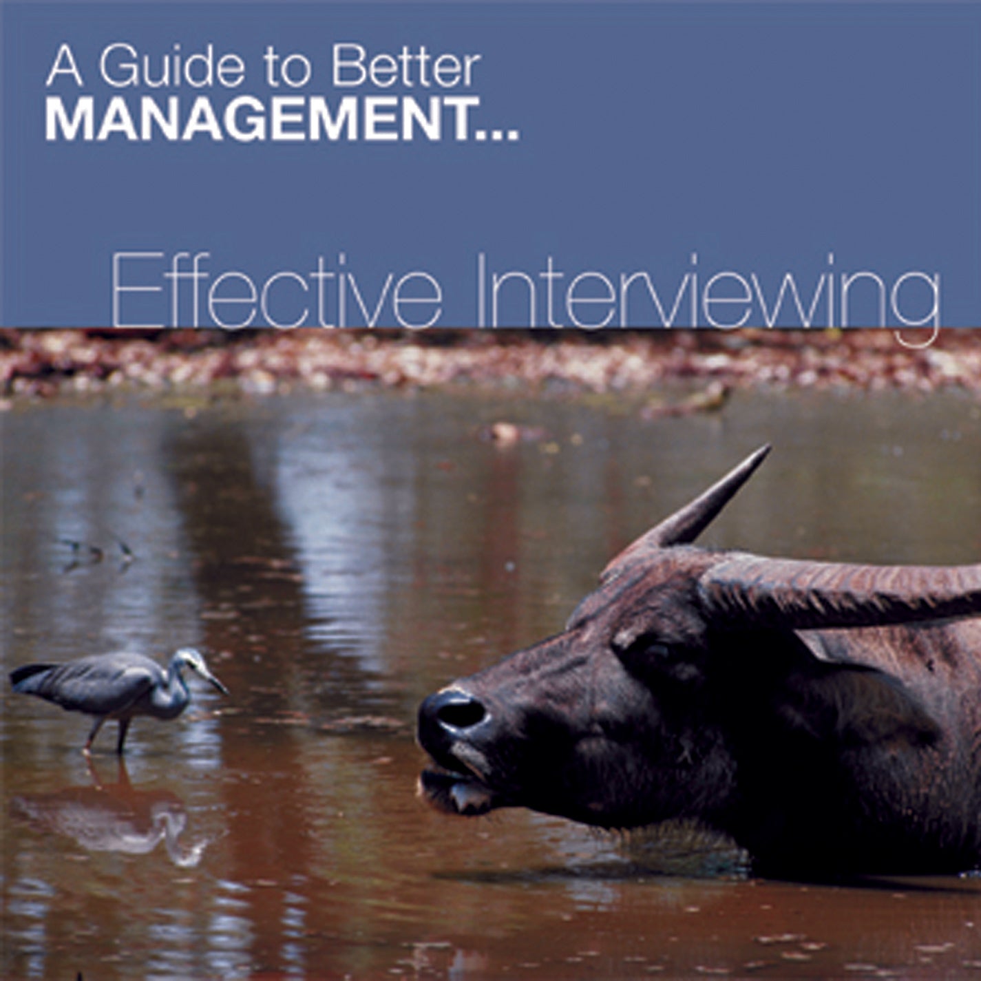 Effective Interviewing (CD)