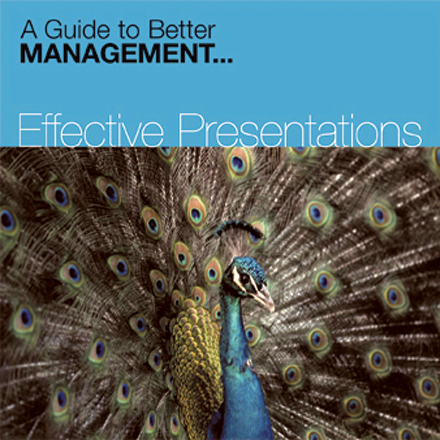 Effective Presentations (CD)