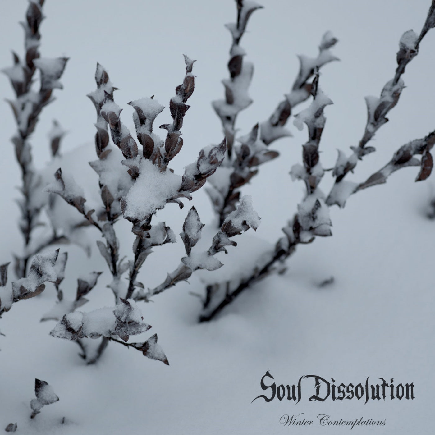 Soul Dissolution - Winter Contemplations (LP)