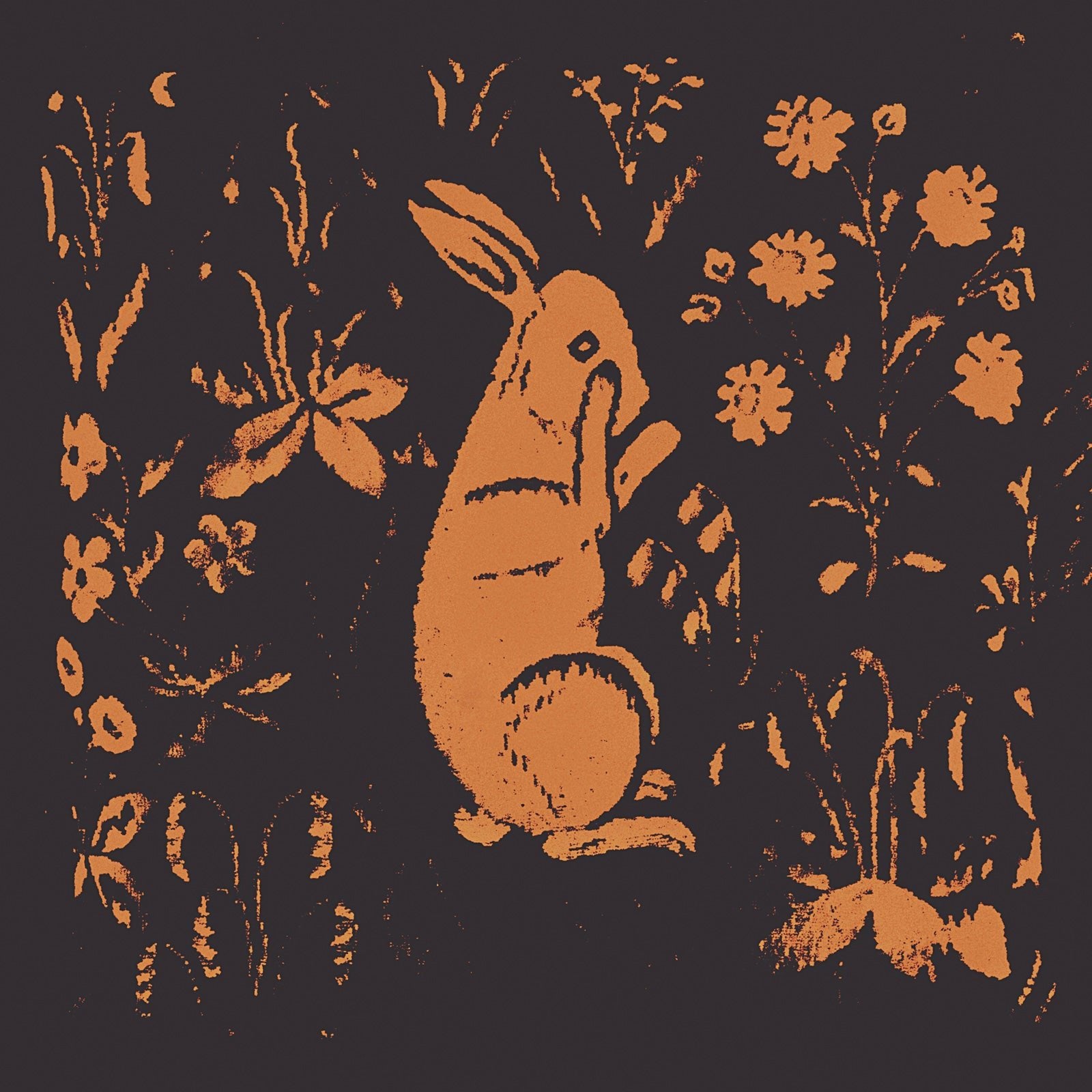 Sadness - Rabbit Album (LP)