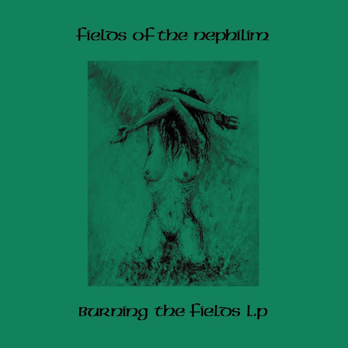 Fields Of The Nephilim - Burning The Fields (CD)