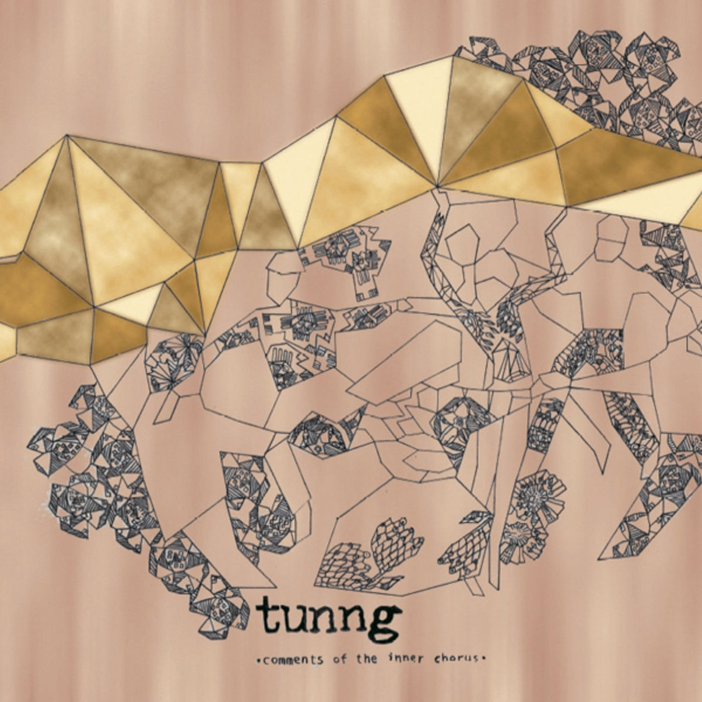 Tunng - Comments Of The Inner Chorus (LP)