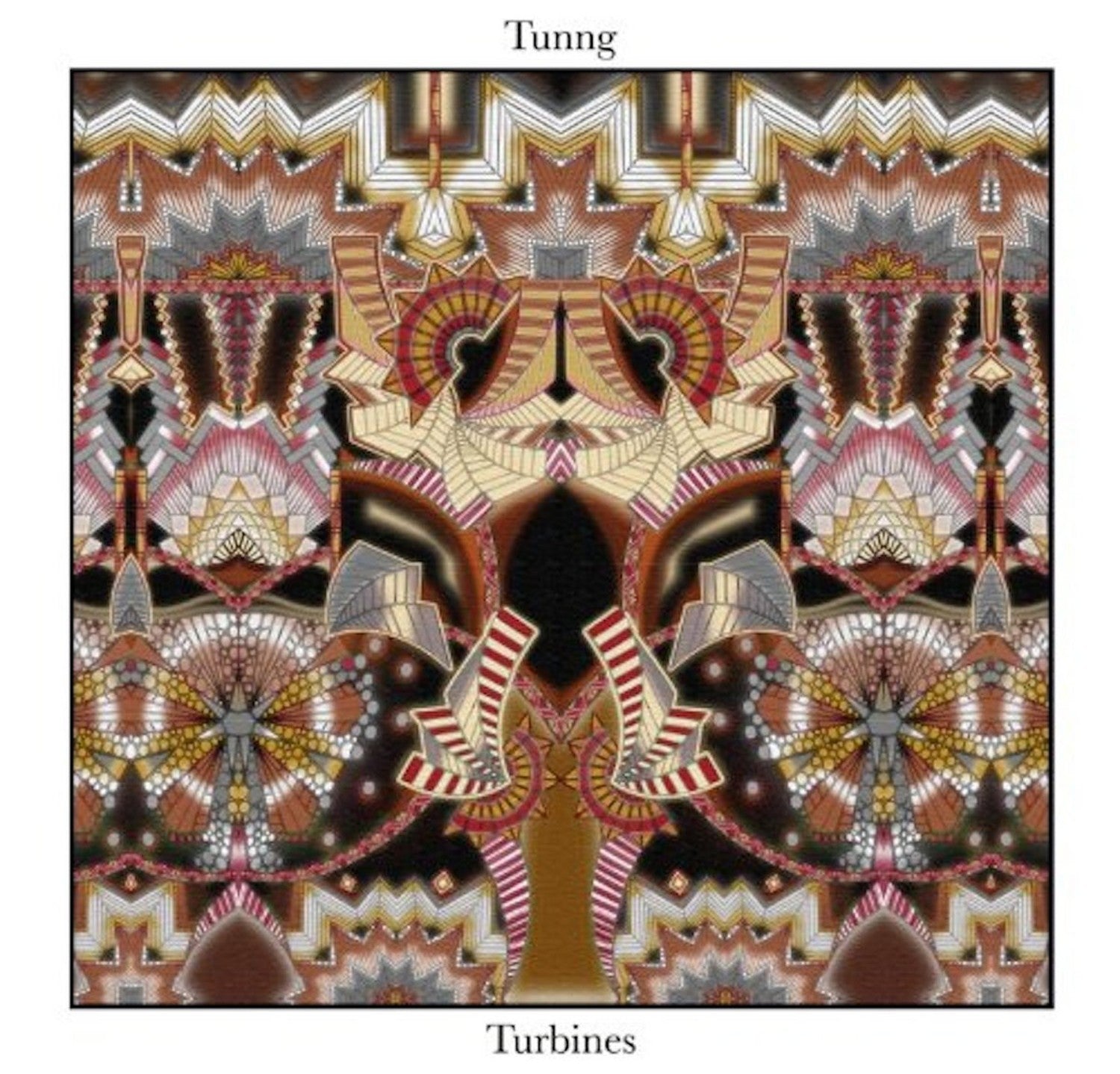 Tunng - Turbines (LP)