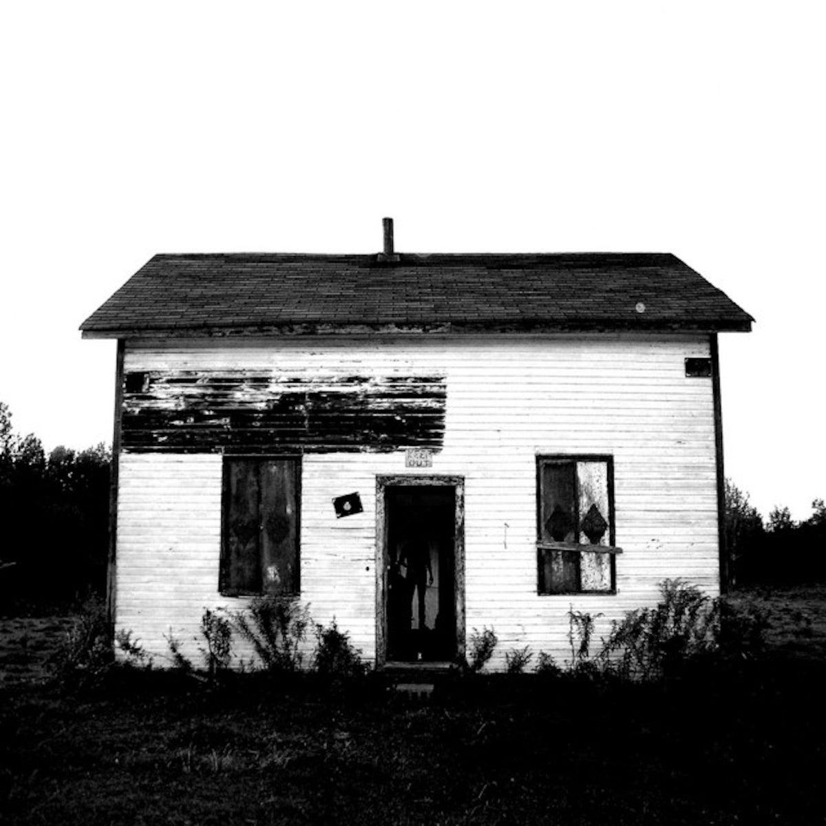 Timber Timbre - Cedar Shakes (LP)