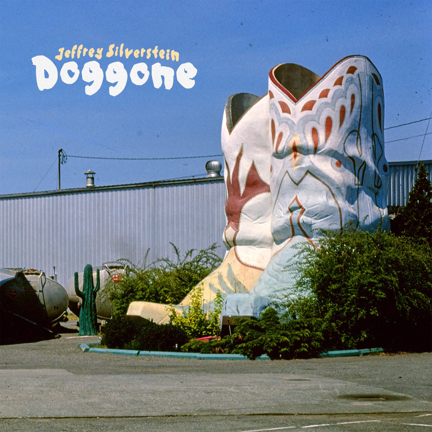 Jeffrey Silverstein - Doggone (LP)
