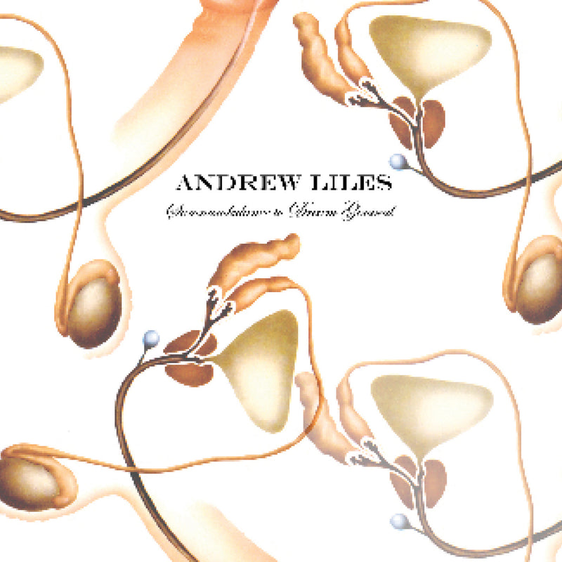 Andrew Liles - Somnambulance To Dream General (CD)