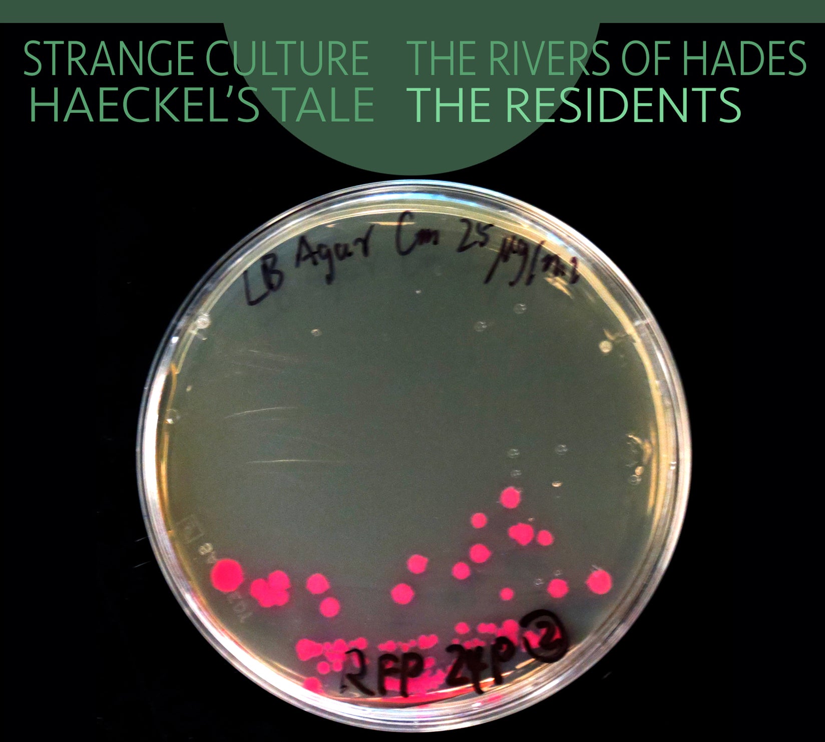 The Residents - Strange Culture/Rivers Of Hades/Haeckel's Tale (CD)