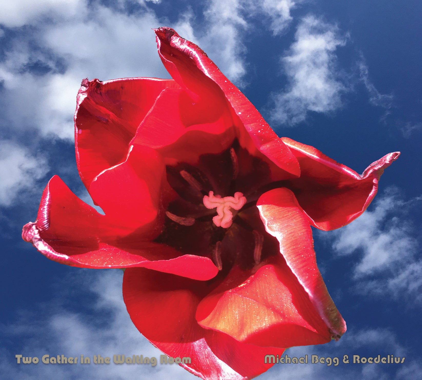 Hans-joachim Roedelius & Michael Begg - Two Gather In The Waiting Room (CD)