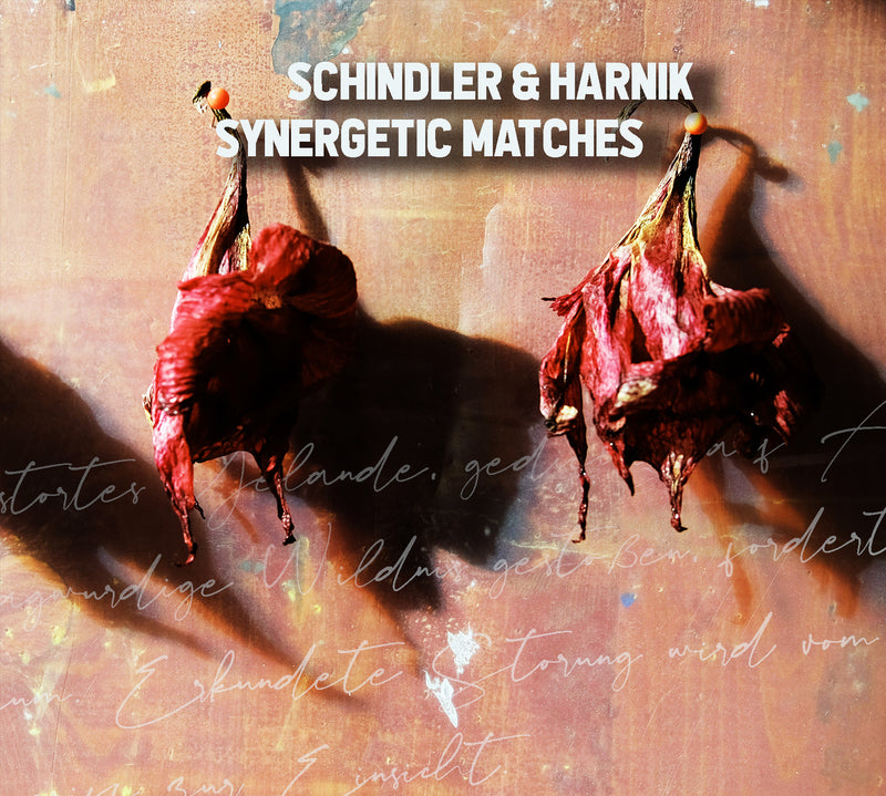 Schindler & Harnik - Synergetic Matches (CD)