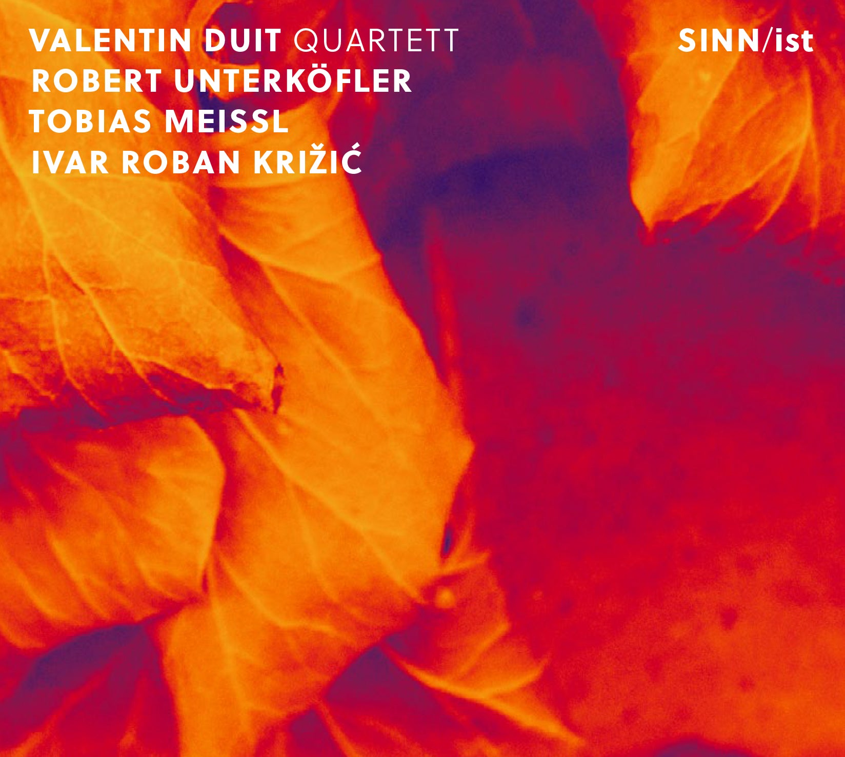 Valentin Duit Quartett - Sinn/ist (CD)