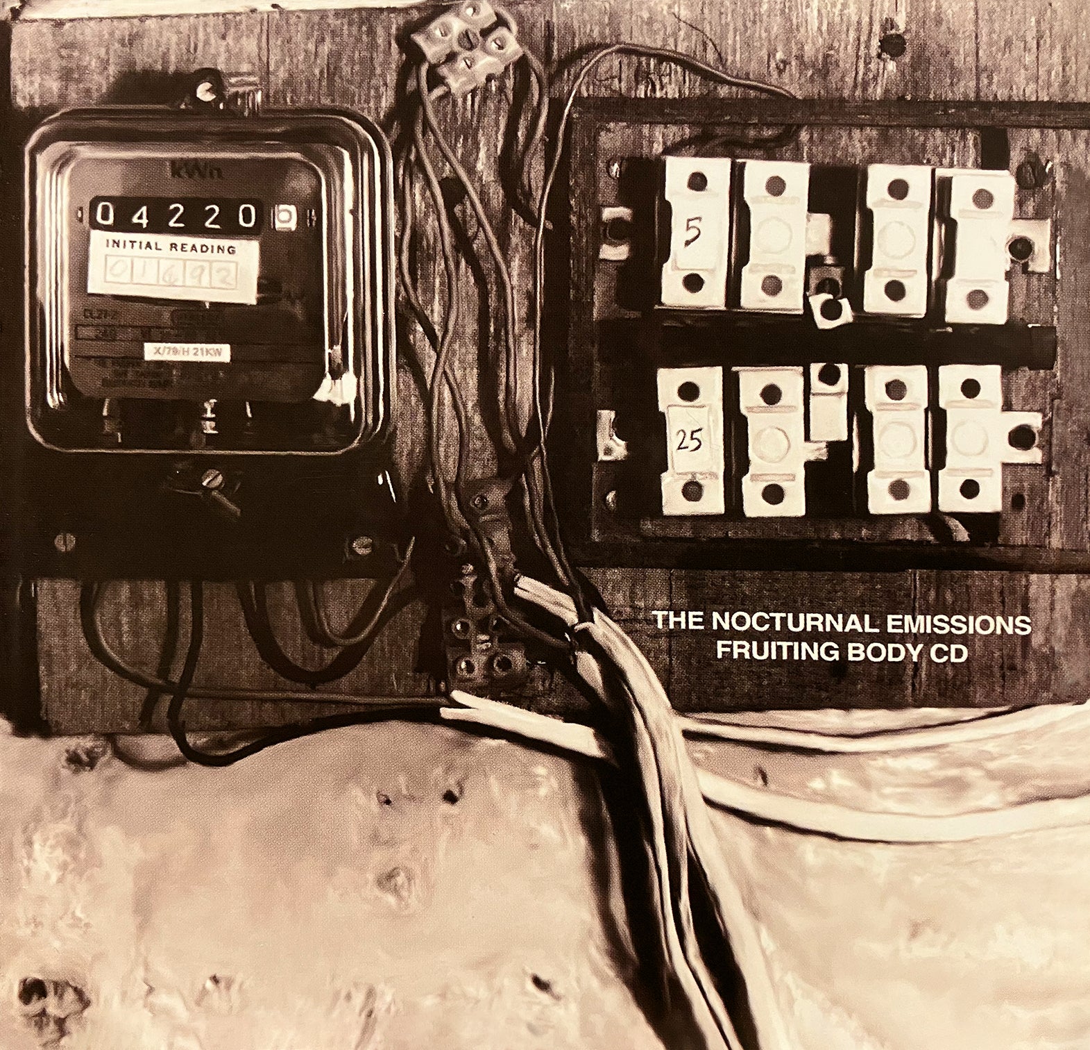 Nocturnal Emissions - Fruiting Body (Deluxe) (CD)