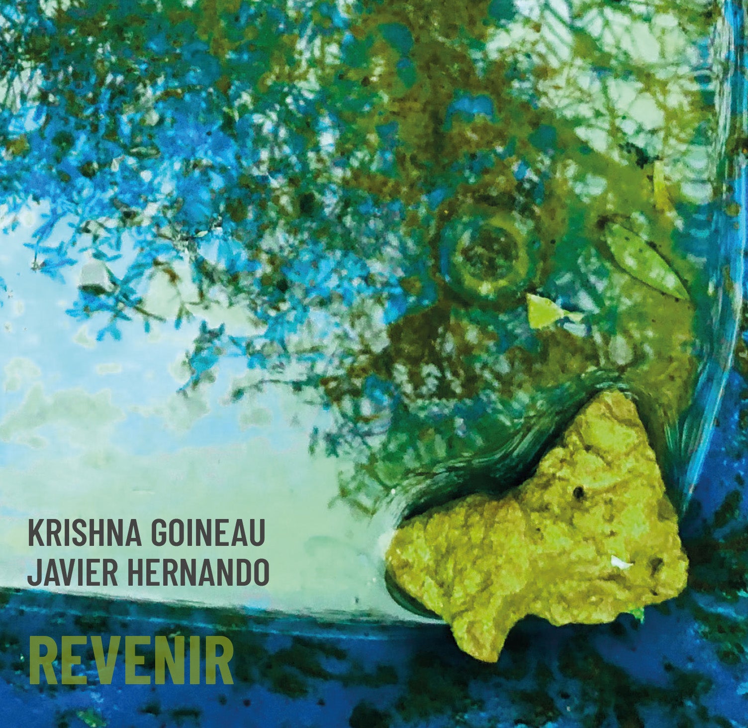 Krishna Goineau & Javier Hernando - Revenir (CD)