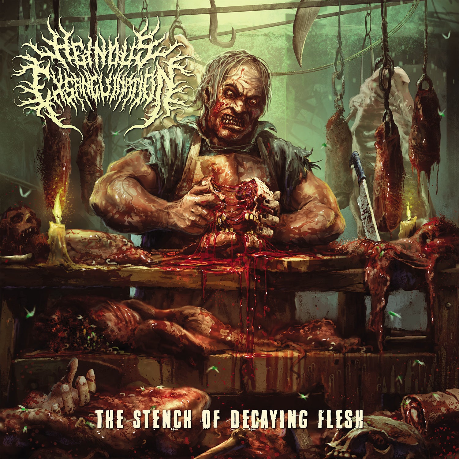Heinous Exsanguination - The Stench Of Decaying Flesh (CD)