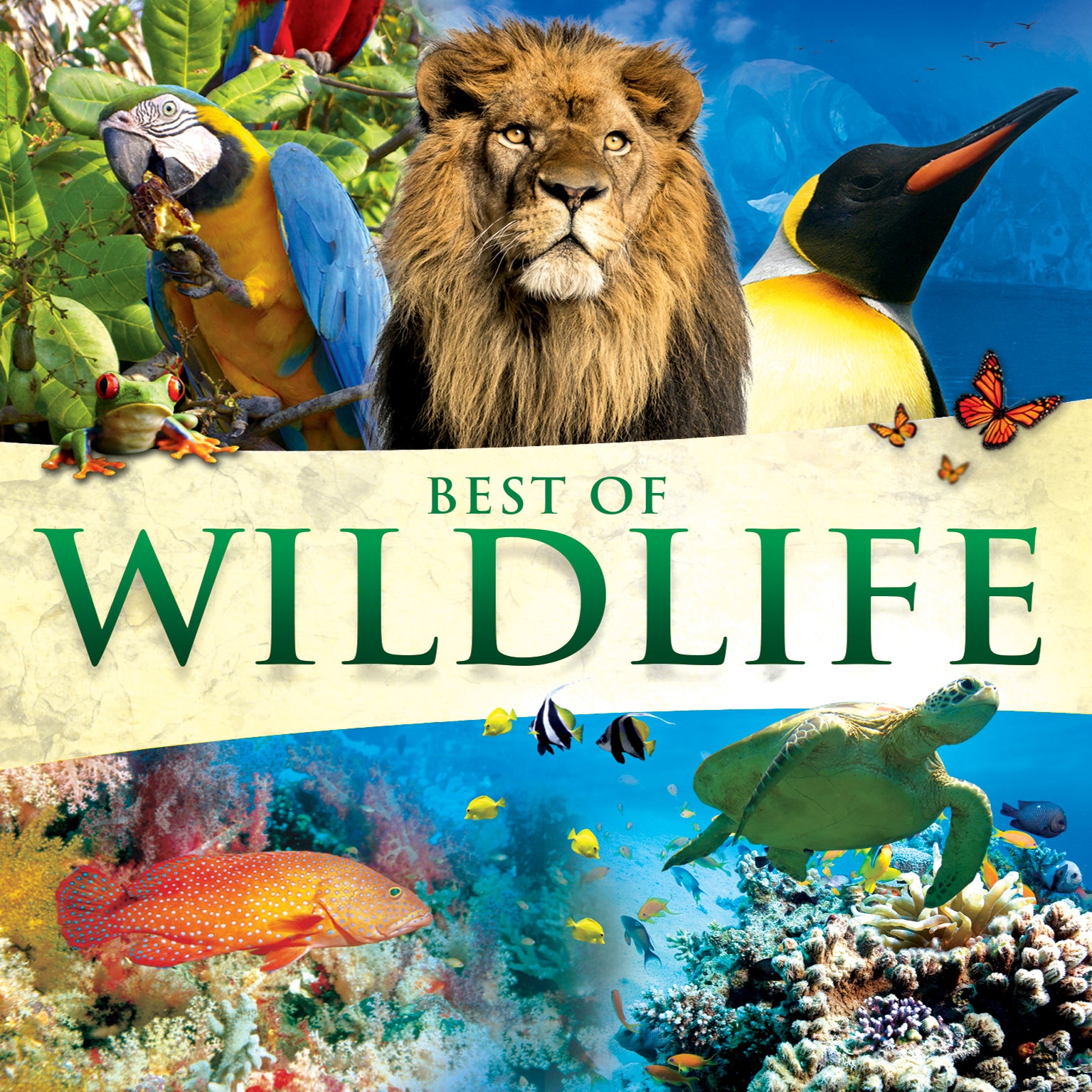 Global Journey - Best Of Wildlife (CD)