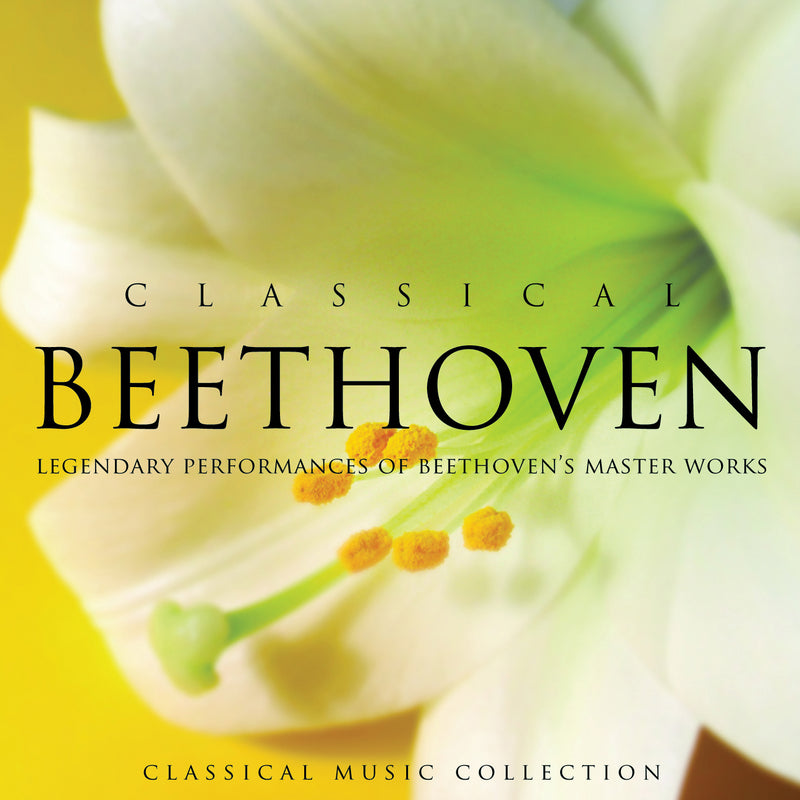 Global Journey Orchestra - Classical Beethoven (CD)