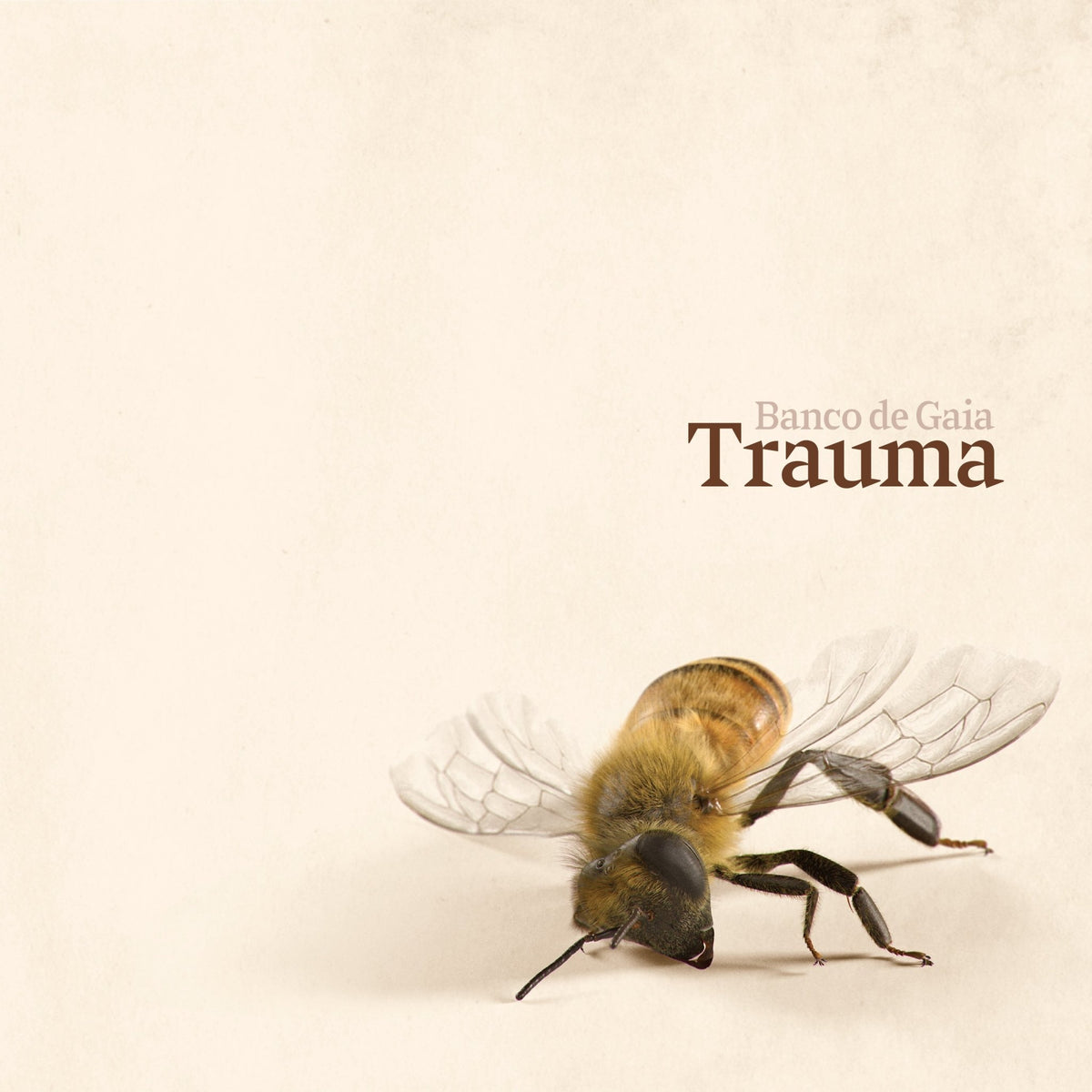 Banco De Gaia - Trauma (CD)
