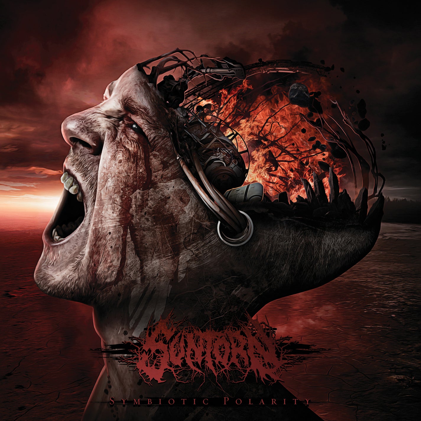 Suntorn - Symbiotic Polarity (CD)