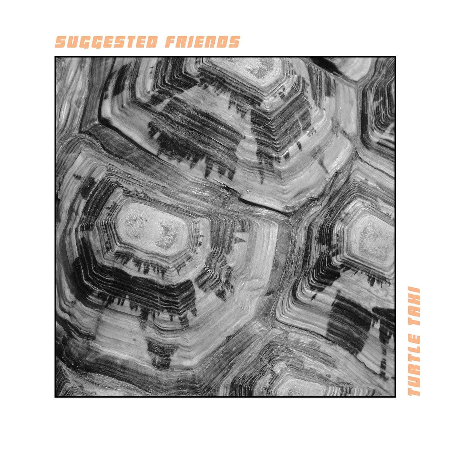 Suggested Friends - Turtle Taxi (LP)