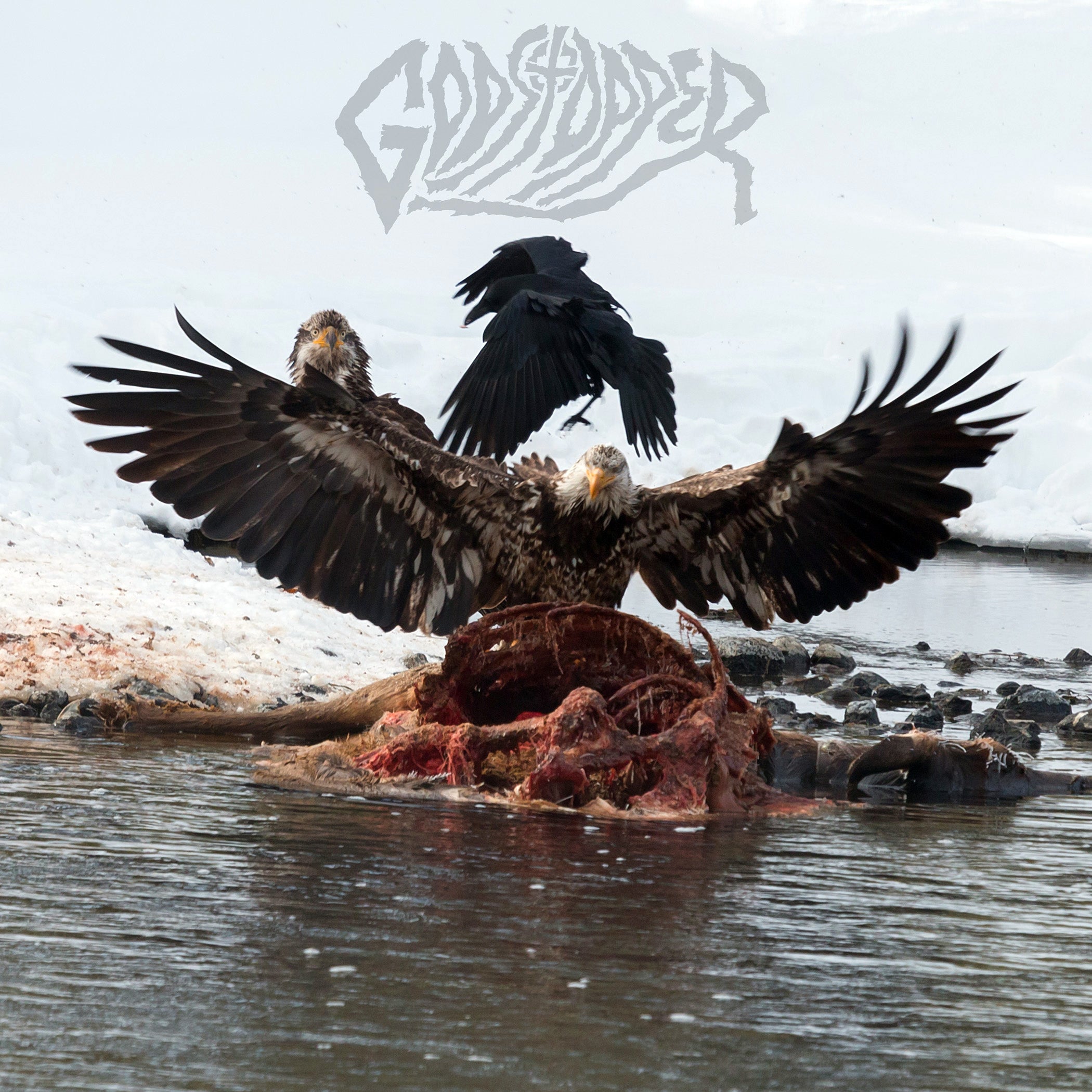 Godstopper - Who Tries Anymore (LP)