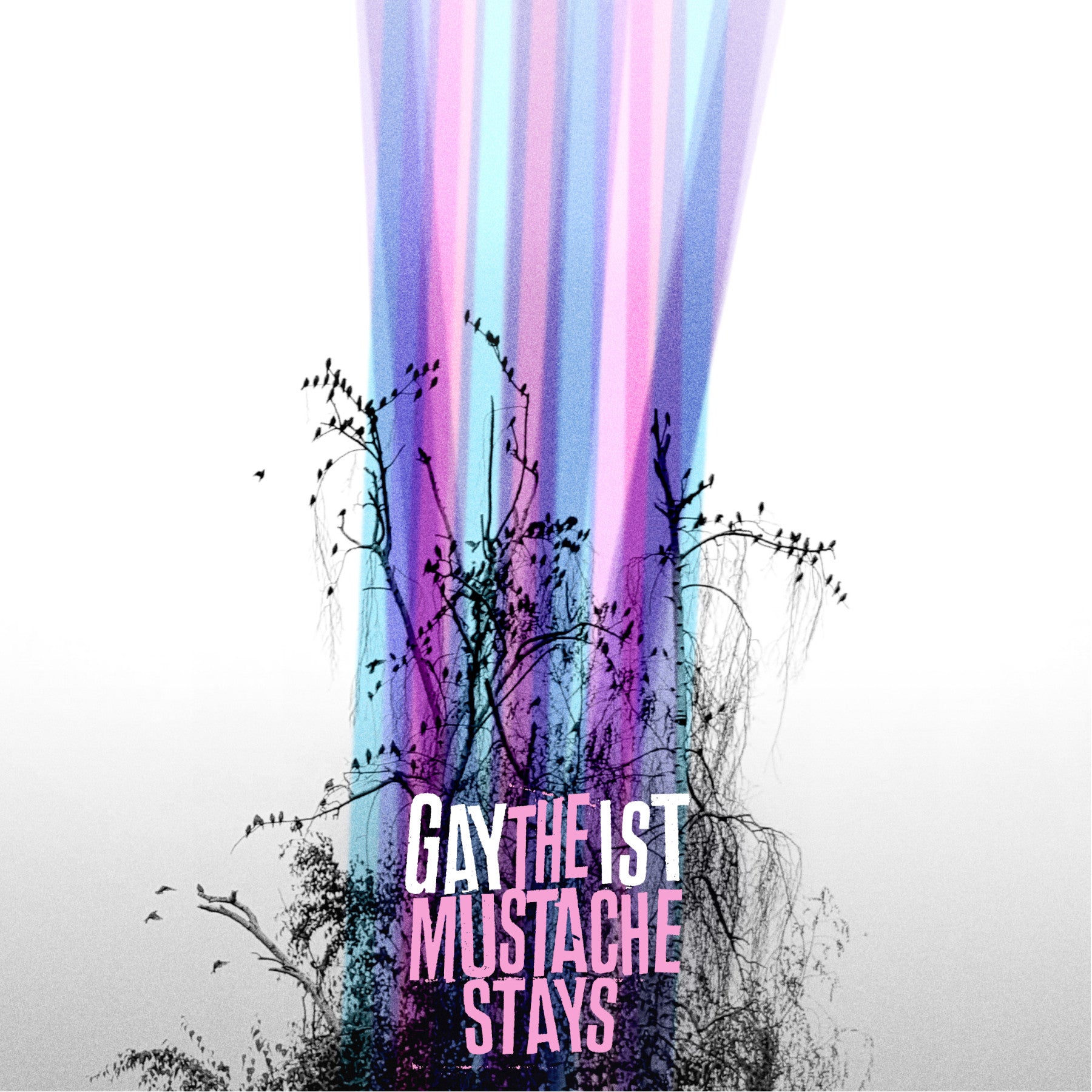 Gaytheist - The Mustache Stays (Limited Grey Vinyl) **Indie Exclusive** (LP)