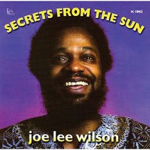 Joe Lee Wilson - Secrets From The Sun (CD)