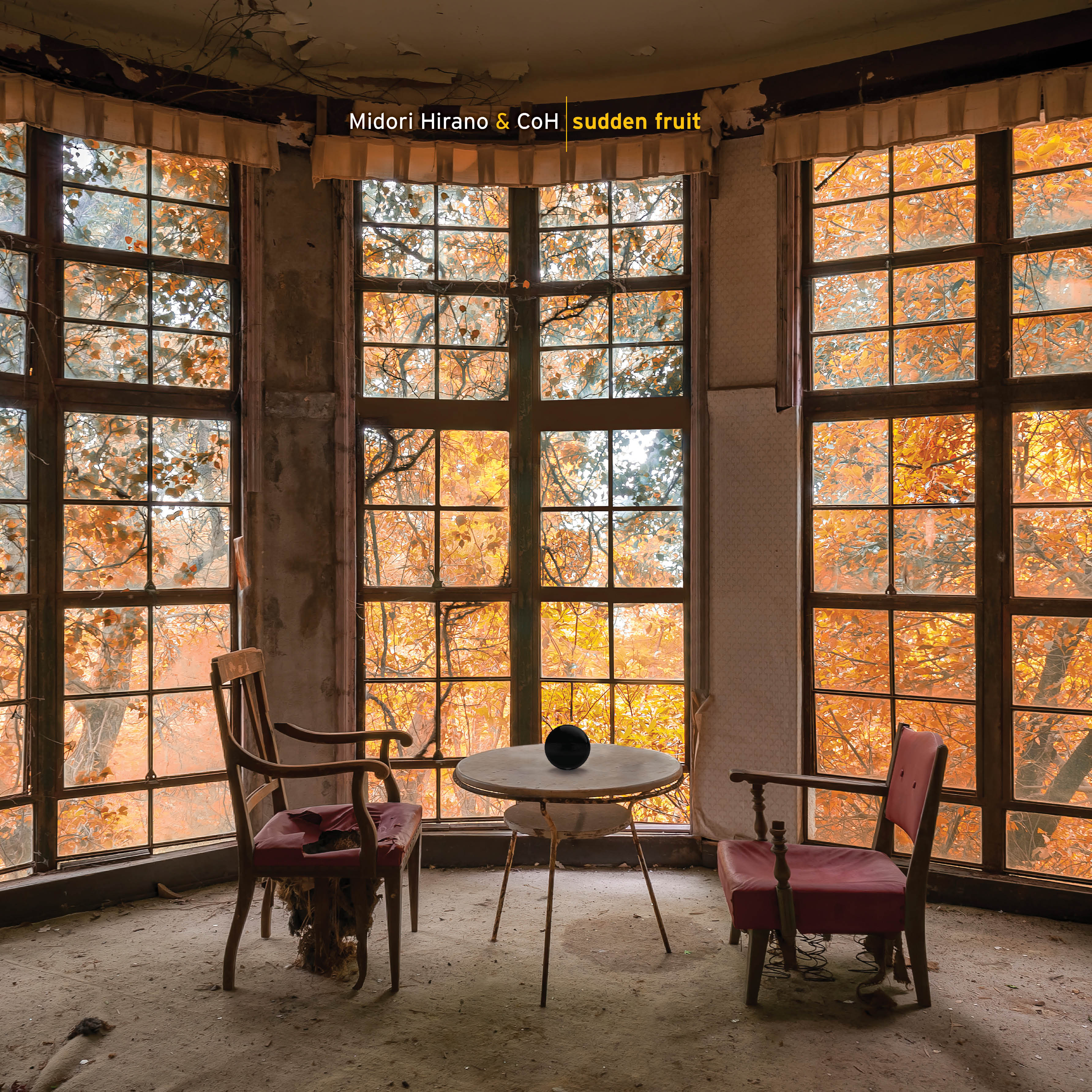 Coh & Midori Hirano - Sudden Fruit (LP)