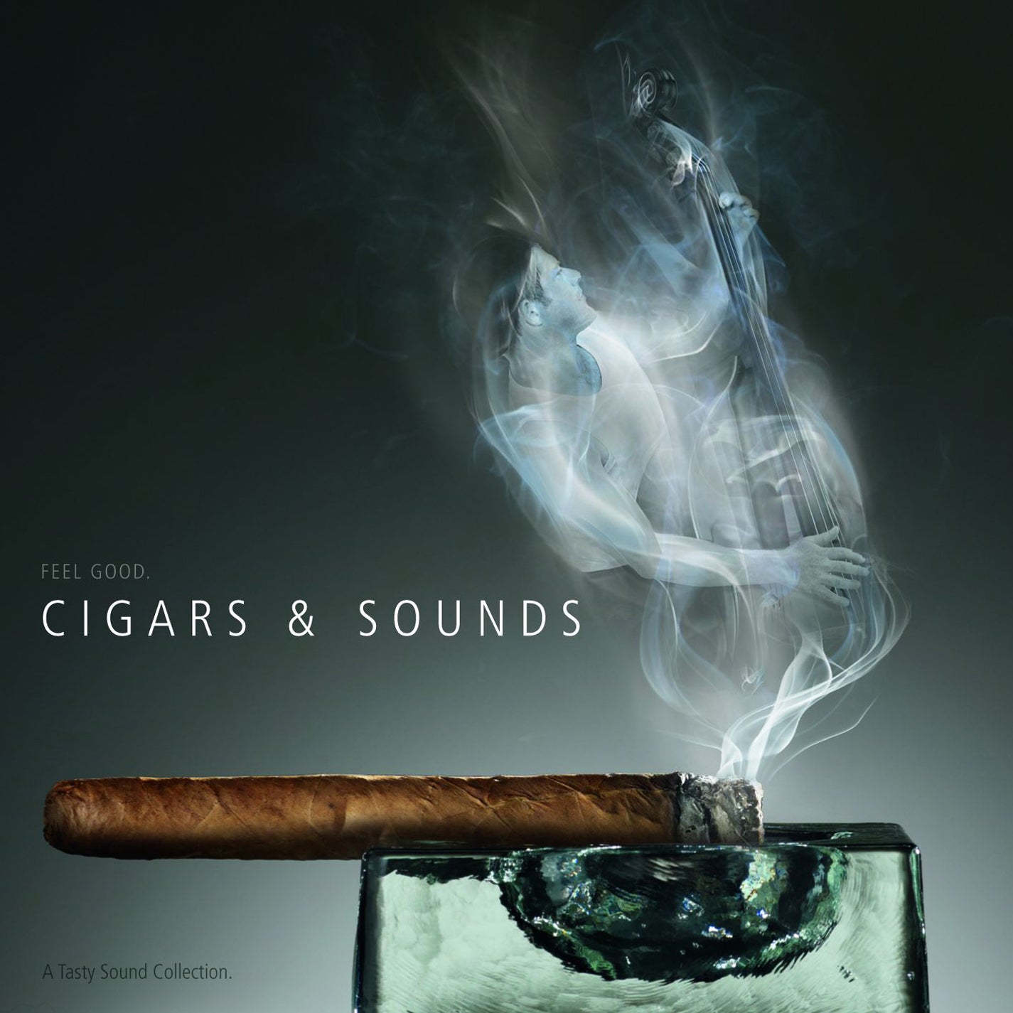 Tasty Sound Collection: Cigars & Sounds (CD)