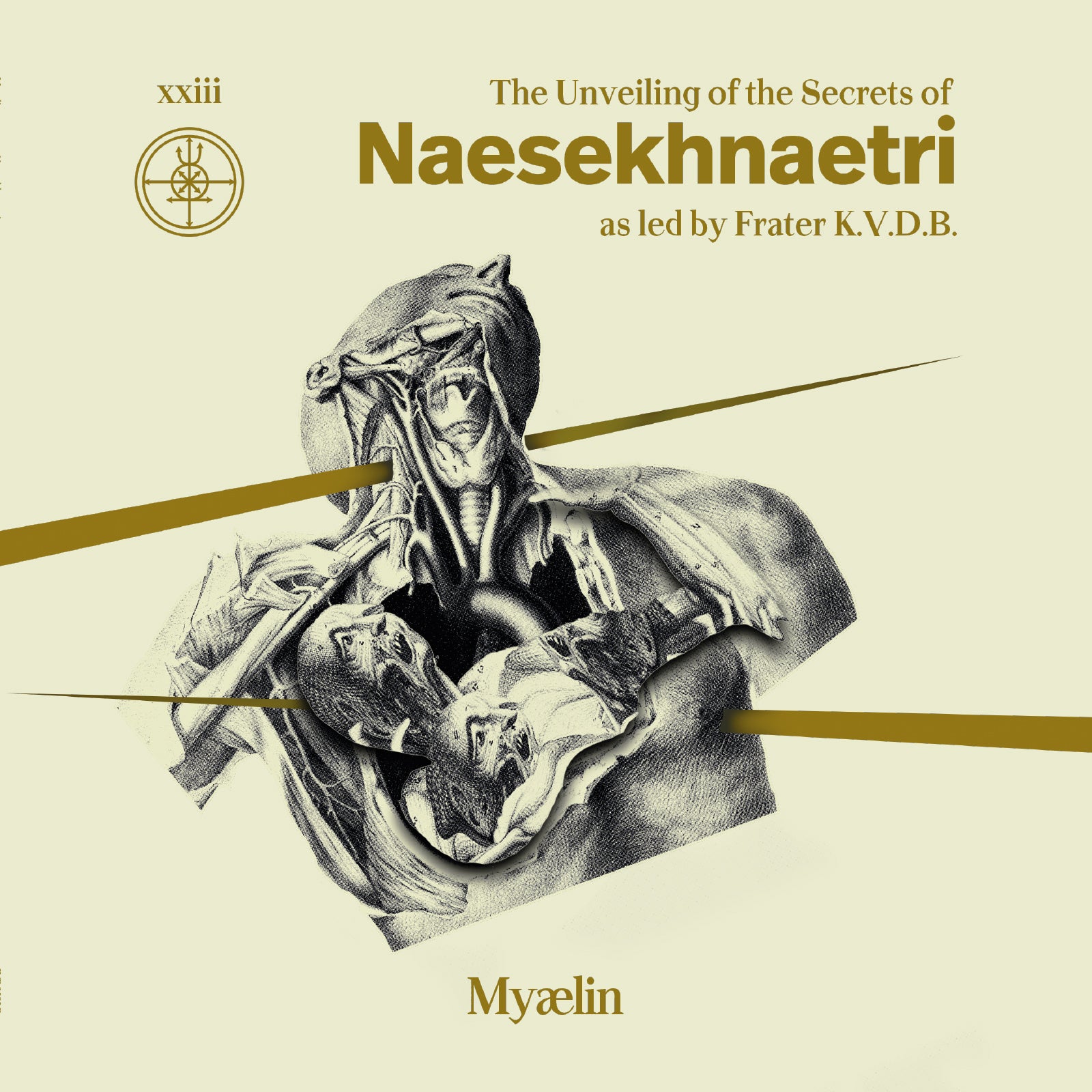 Myaelin - Naesekhnaetri (LP)