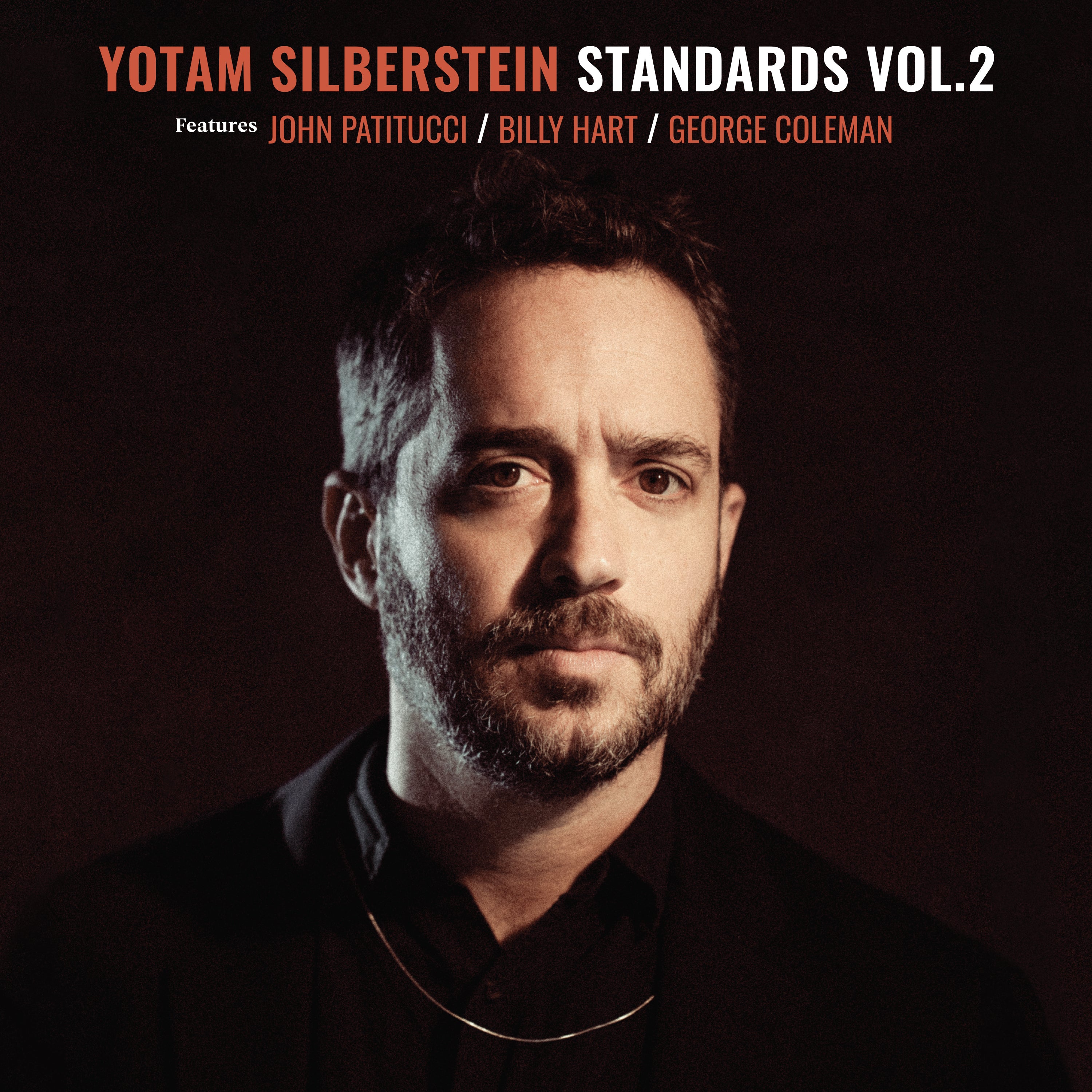 Yotam Silberstein - Standards Vol.2 [180 Gram Black Vinyl] (LP)