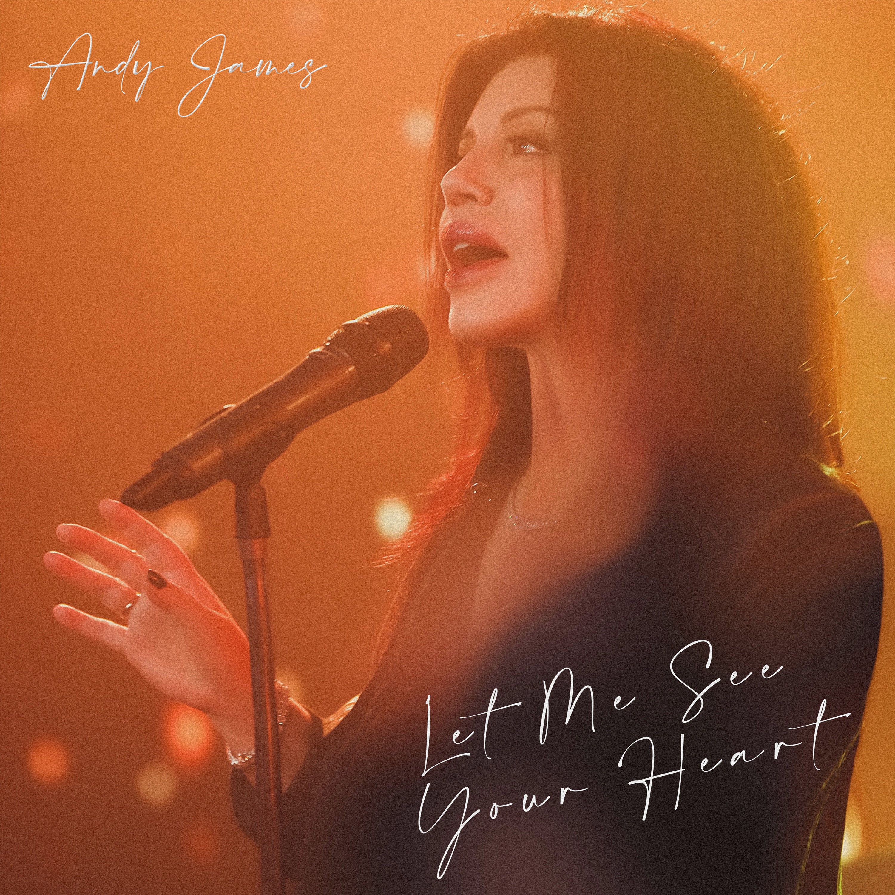 Andy James - Let Me See Your Heart (CD)