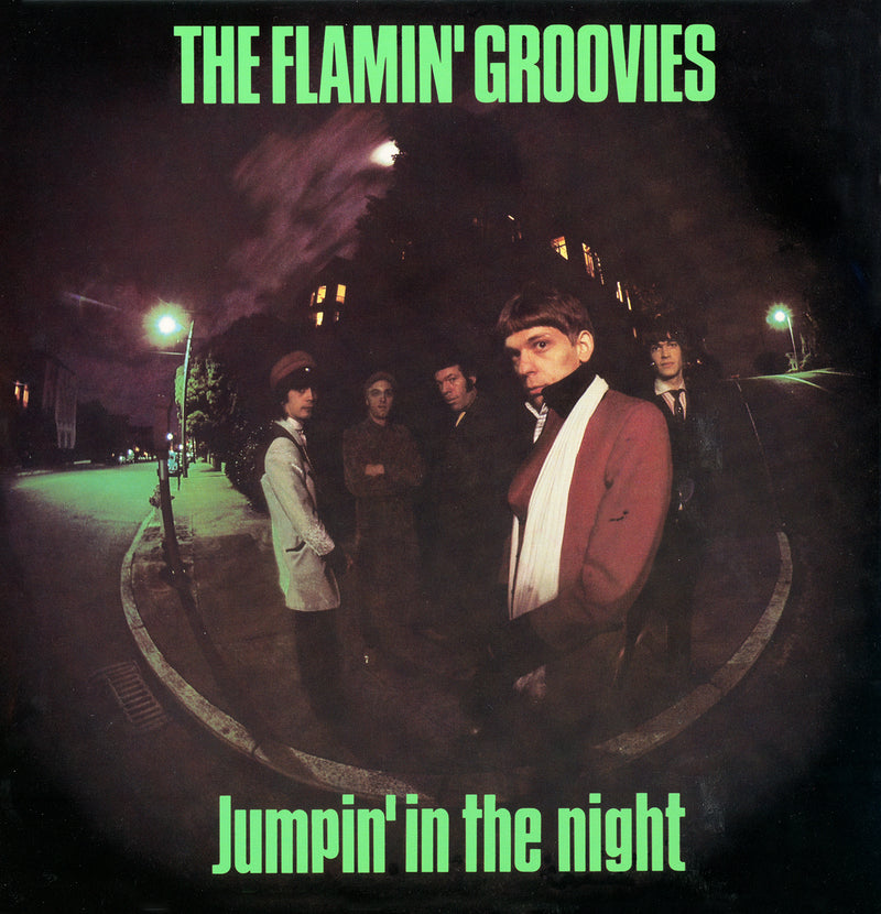 Flamin' Groovies - Jumpin' In The Night (LP)