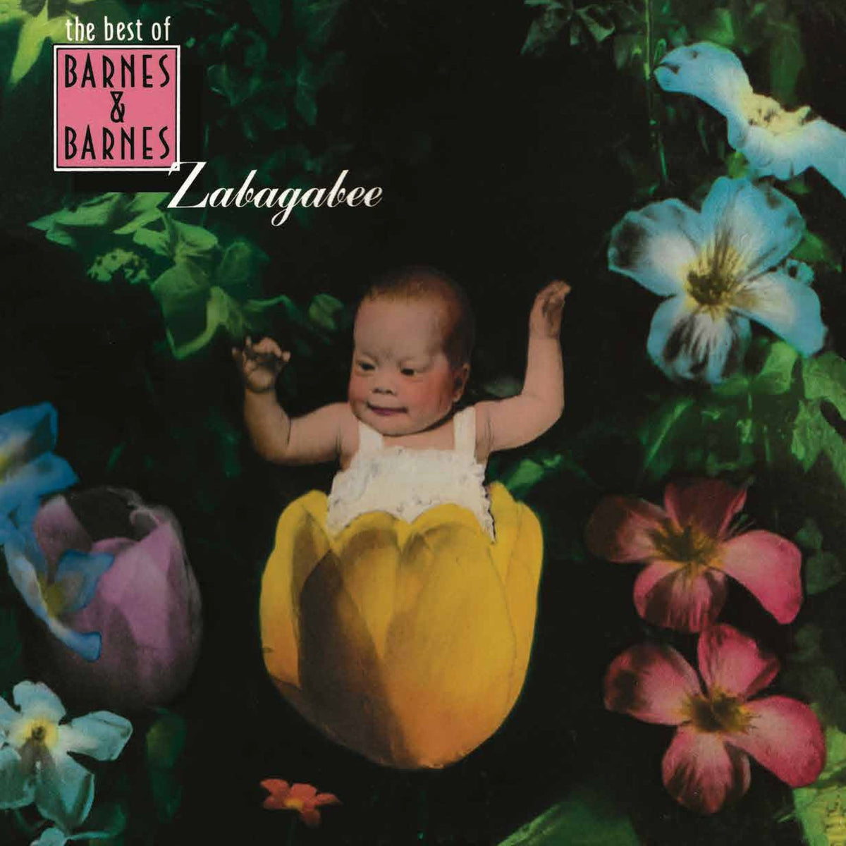 Barnes & Barnes - Zabagabee: The Best Of Barnes & Barnes (LP)