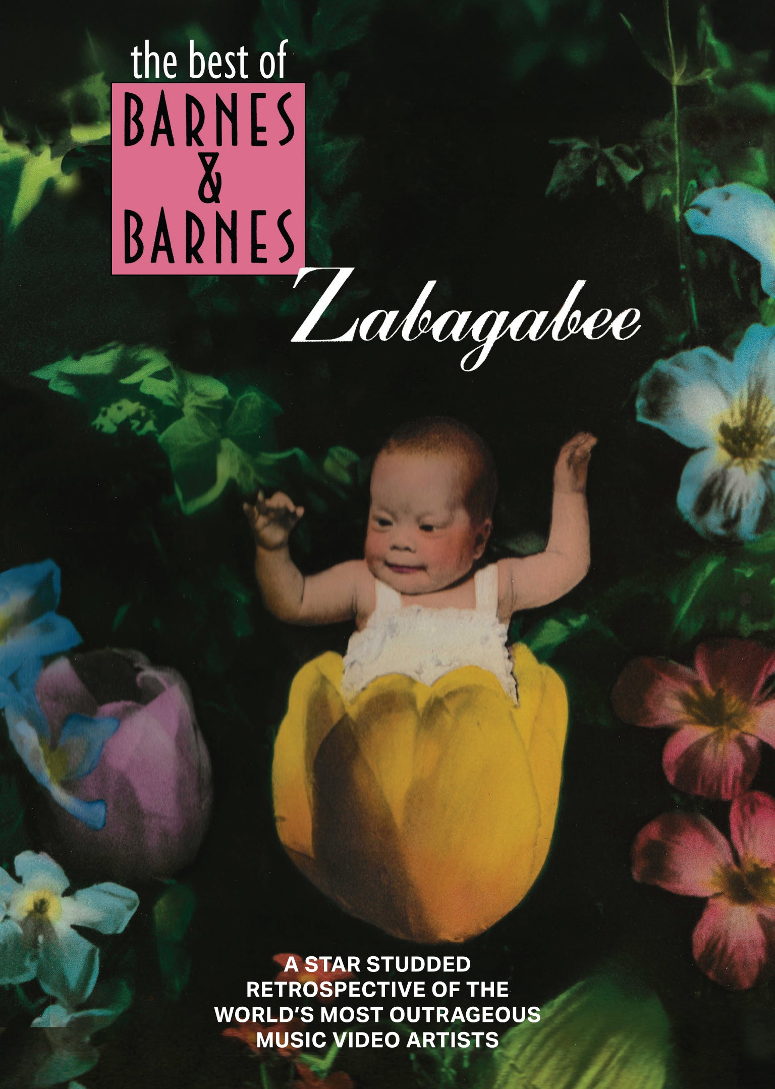 Barnes & Barnes - Zabagabee: The Best Of Barnes & Barnes (DVD)