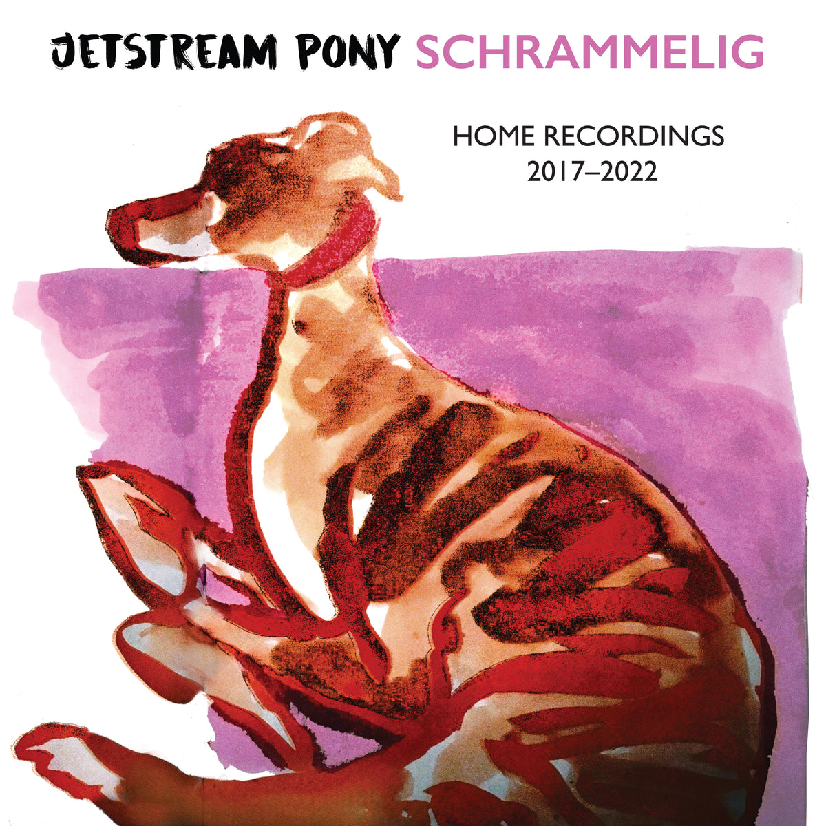 Jetstream Pony - Schrammelig (LP)