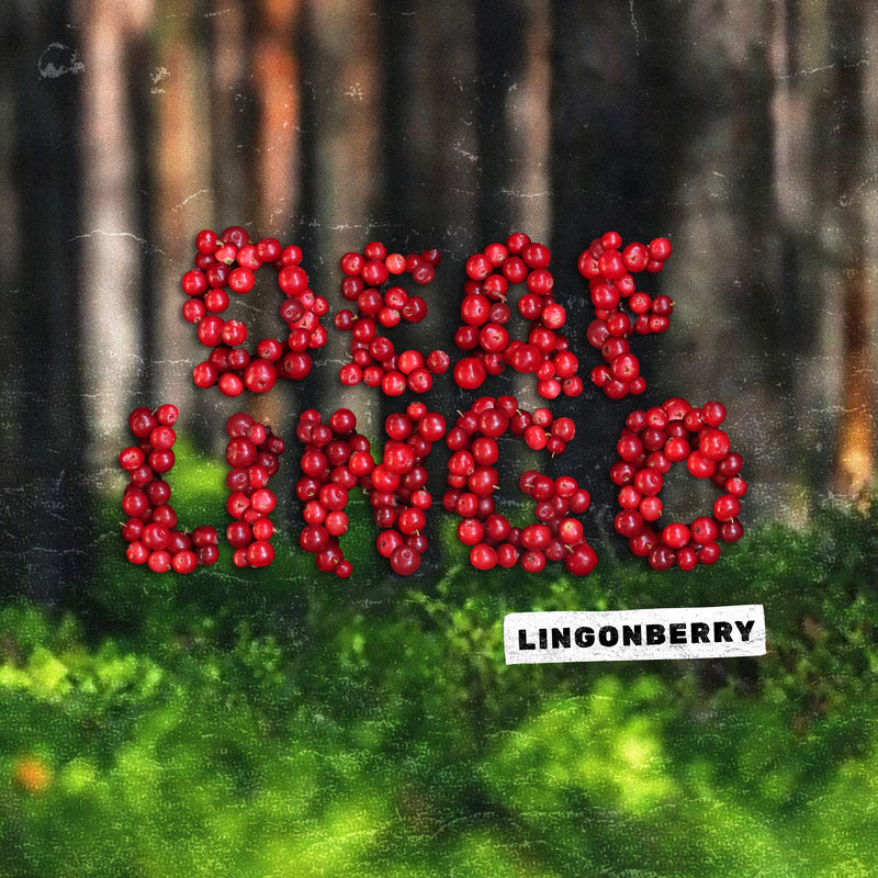 Deaf Lingo - Lingonberry (Transparent Red Vinyl) (LP)