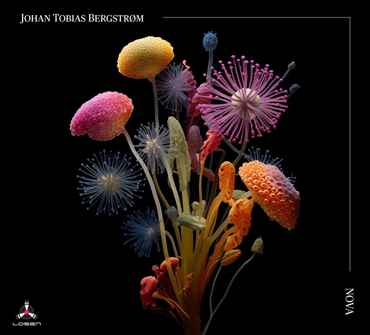 Johan Tobias Bergstrøm - Nova (CD)