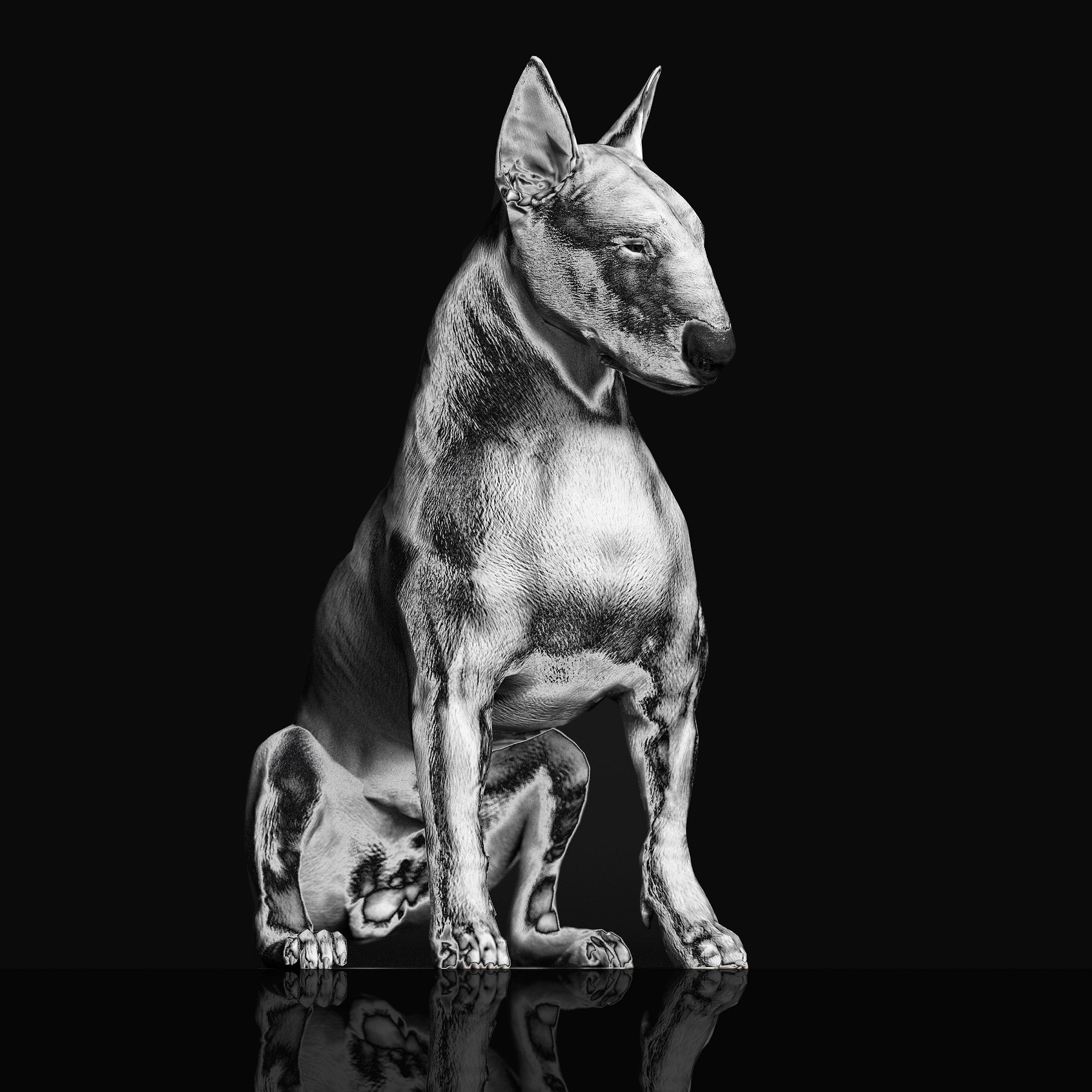 Riskee & The Ridicule - Platinum Statue (Clear Marbled Vinyl) (LP)