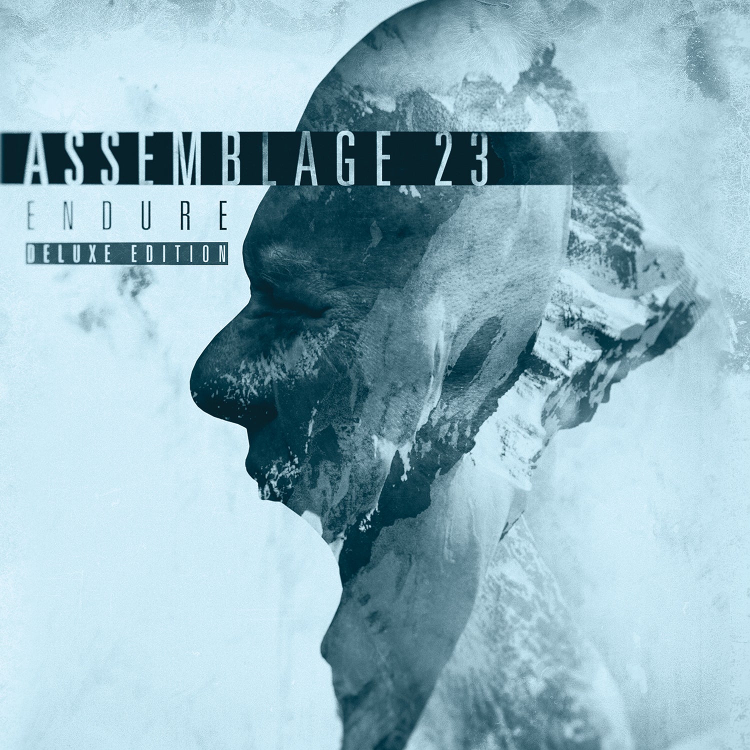 Assemblage 23 - Endure [Deluxe Edition] (CD)