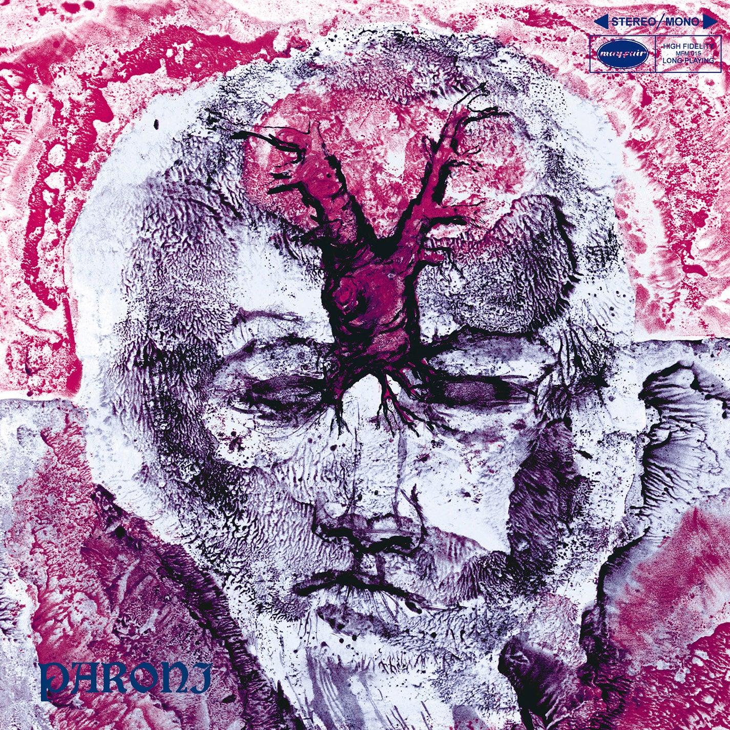 Paroni Paakkunainen - Plastic Maailma (LP)