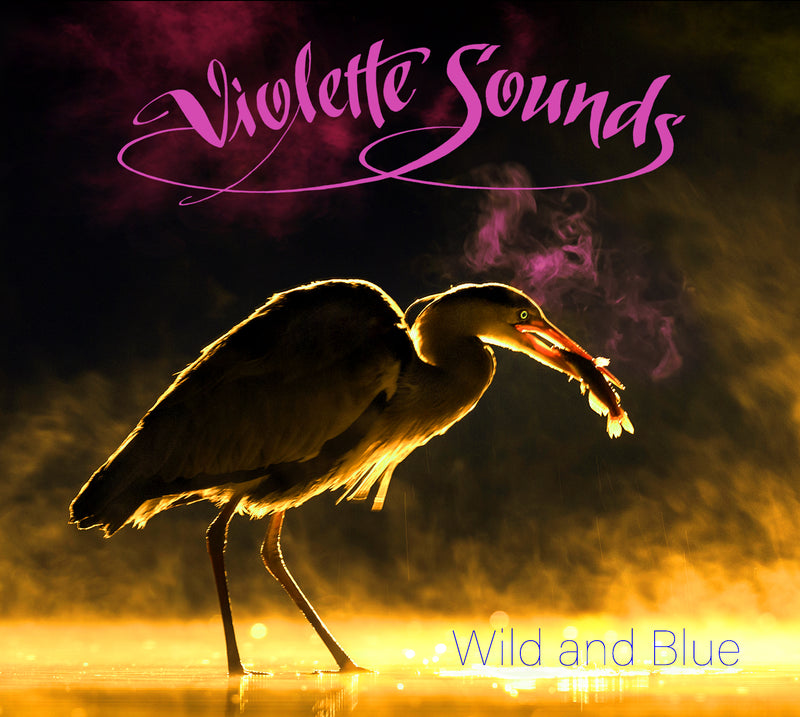 Violette Sounds - Wild And Blue (CD)