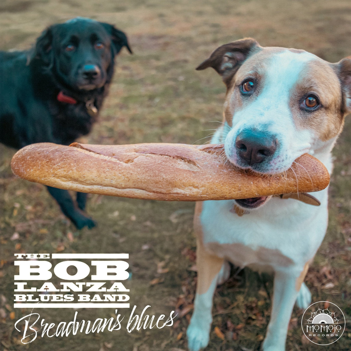 The Bob Lanza Blues Band - Breadman's Blues (CD)