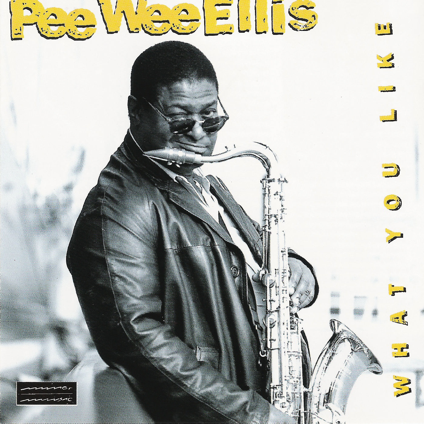 Pee Wee Ellis - What You Like (CD)