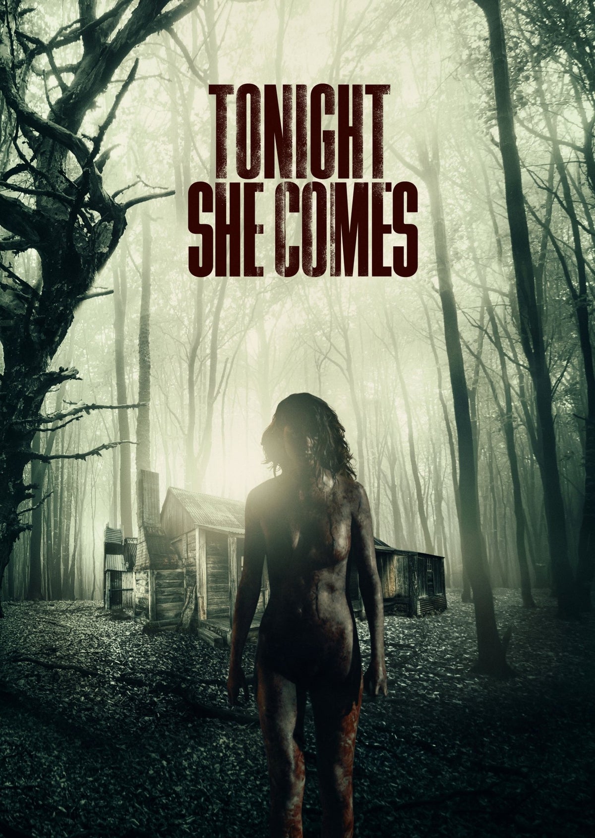 Tonight She Comes (DVD)